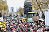 Photo: Max MacGillivray / Beanstalk.Global