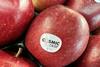 Cosmic Crisp apples