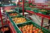 Euro Pool System RPCs tomatoes