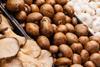 pilze_Phodo Design_AdobeStock