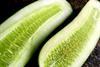 Rocket EC gets cucumber green light