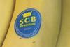 SCB bananas