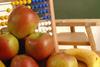 Äpfel und Banane vor einer Kreidetafel und einem Rechenschieberunde