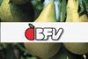 BFV conference pears
