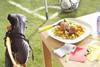 Aviko dangles World Cup carrot