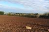 A flat field being planted on the North Coast of Jersey