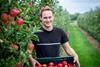 Landgard apple harvest Philip Wißkirchen