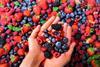 Mix aus Beeren im Hintergrund und in zwei Händen