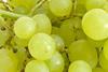 Generic table grapes