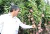 Empafrut_Direktor_Reynaldo_Hilbck_Guzmán_Mangos__1_.JPG