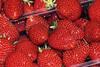 Spanish strawberries slide