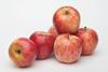 news-2024-prevar-and-okanagan-specialty-fruits-announce-new-global-rd-partnership