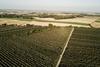 Gruppa Organic Poland apple production landscape
