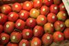 Erntedefizite bei Bio-Äpfeln in Europa