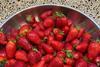 Bulgarische Erdbeeren