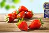 NL Inspire strawberries The Greenery Superior Taste Award