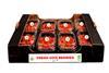 p136-137 main pic IT Goji Italia punnets carton