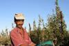 South African top-fruit industry holds its own through searing heat