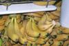 Australian bananas