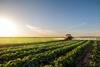The NFU has fought against the closure of the SFI scheme