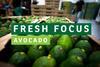FF Avo website pic