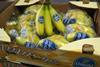 Chiquita Minis hit the wholesale markets