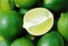 Morrisons in the limelight with strong citrus growth