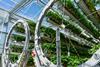Dyson Farming's vertical, rotating growing system