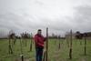 Thierry Croze pruned the newly planted Total Cherry trial trees at Owens Court farm