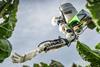 robotic brassica picking arm (credit University of Plymouth)