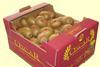 Primland kiwifruit box