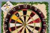 The Dartboard Diet