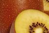 Zespri G9 gold