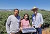 SanLucar blueberries