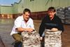 McGeary Mushrooms invests in Scotland with Cairns