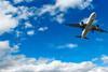 Airfreighted imports could suffer, aviation leaders warn