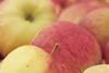 Bio-Obst.bmp