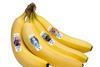 Frozen 2_Mock 3D_Banana Cluster 5 R