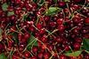 northwest cherries cherry NW