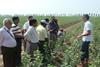 Griba's Gunther Mahlknecht hosts an Indian delegation to Italy