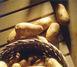 Potatoes slide into decline