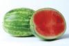 Abbott Cobb Bayer watermelon