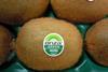 Enza green Italian kiwifruit