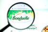 Bonduelle computer screen magnifying glass Adobe Stock MUST CREDIT Олександр Шнурик - Adobe Stock