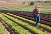 Women in farming