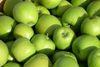 Green apples a first for Kent