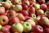 Frankreich: Geringste Apfelernte seit 10 Jahren