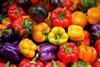 GEN peppers AdobeStock_168681025