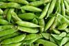 Peas aplenty?
