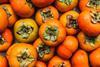 210325_Persimmons_0H6A2264